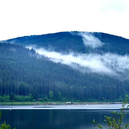 Tannenhof Fischbach - 1 