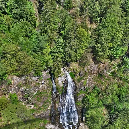 Tannenhof Fischbach - 1 