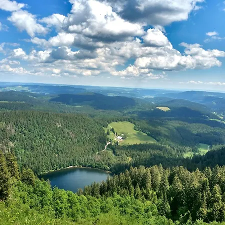 Tannenhof Fischbach - 1 